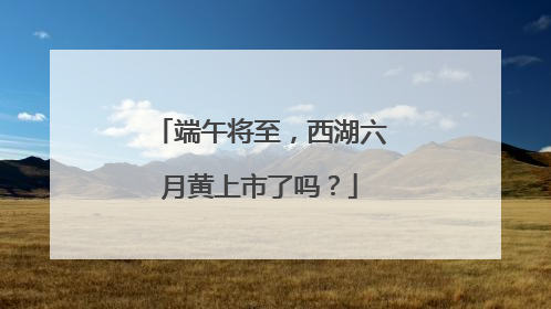 端午将至，西湖六月黄上市了吗？