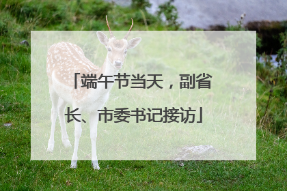 端午节当天，副省长、市委书记接访