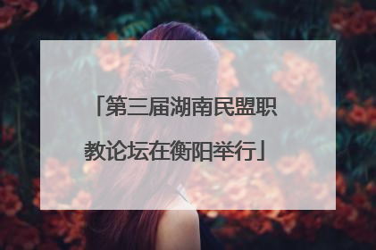 第三届湖南民盟职教论坛在衡阳举行