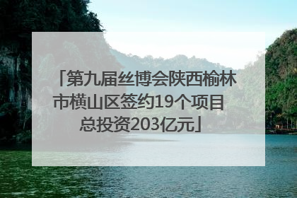 第九届丝博会陕西榆林市横山区签约19个项目 总投资203亿元