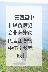 第四届中非经贸博览会非洲外宾代表团考察中伟宁乡基地