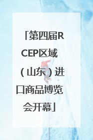 第四届RCEP区域（山东）进口商品博览会开幕