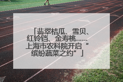 翡翠桔瓜、雪贝、红铃铛、金寿桃……上海市农科院开启“缤纷蔬菜之约”