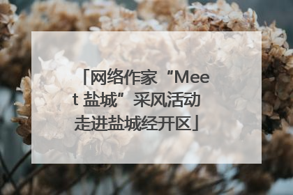 网络作家“Meet 盐城”采风活动走进盐城经开区