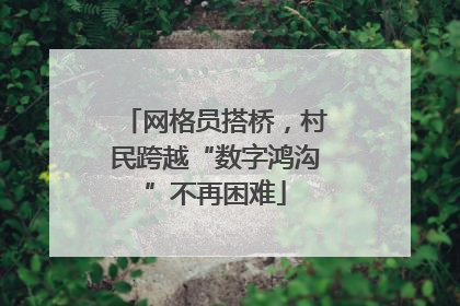 网格员搭桥，村民跨越“数字鸿沟”不再困难