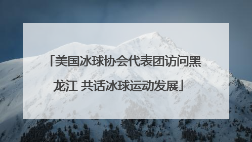 美国冰球协会代表团访问黑龙江 共话冰球运动发展