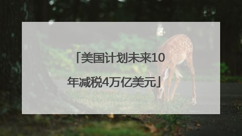 美国计划未来10年减税4万亿美元