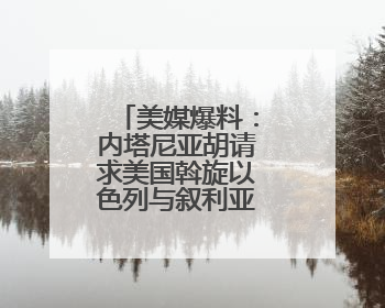 美媒爆料：内塔尼亚胡请求美国斡旋以色列与叙利亚新政权谈判