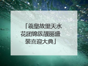 羲皇故里天水花团锦簇靓丽盛装喜迎大典