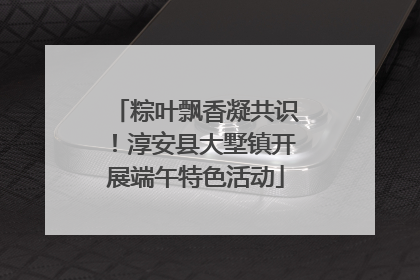 粽叶飘香凝共识！淳安县大墅镇开展端午特色活动