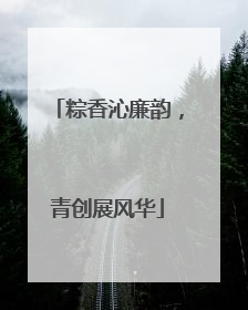 粽香沁廉韵，青创展风华