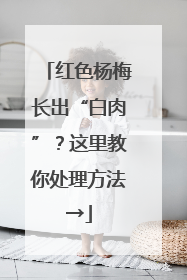 红色杨梅长出“白肉”？这里教你处理方法→