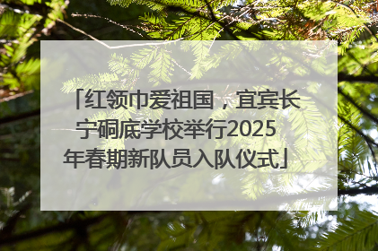 红领巾爱祖国，宜宾长宁硐底学校举行2025年春期新队员入队仪式