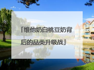 维他奶白桃豆奶背后的品类升级战