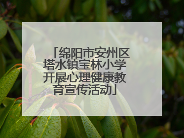 绵阳市安州区塔水镇宝林小学开展心理健康教育宣传活动