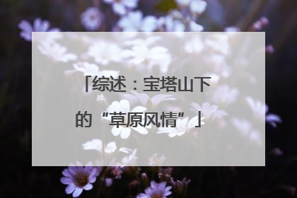 综述：宝塔山下的“草原风情”