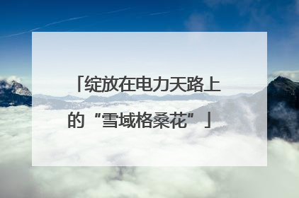 绽放在电力天路上的“雪域格桑花”
