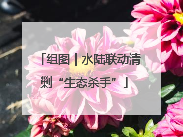 组图｜水陆联动清剿“生态杀手”