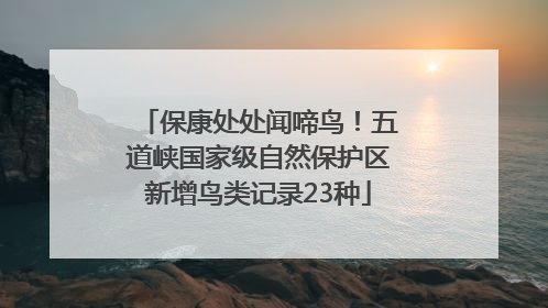 保康处处闻啼鸟！五道峡国家级自然保护区新增鸟类记录23种