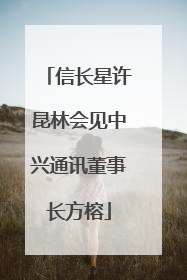 信长星许昆林会见中兴通讯董事长方榕