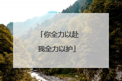 你全力以赴 我全力以护