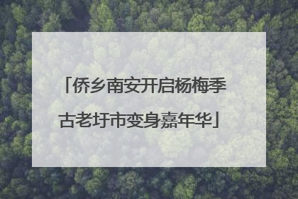 侨乡南安开启杨梅季 古老圩市变身嘉年华