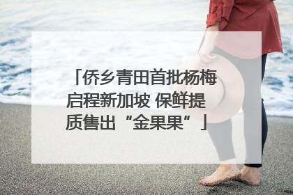 侨乡青田首批杨梅启程新加坡 保鲜提质售出“金果果”