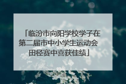 临汾市向阳学校学子在第二届市中小学生运动会田径赛中喜获佳绩