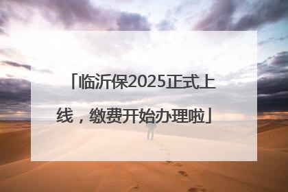 临沂保2025正式上线，缴费开始办理啦