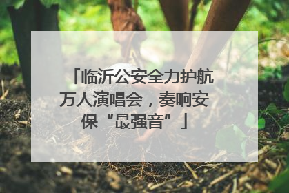 临沂公安全力护航万人演唱会，奏响安保“最强音”
