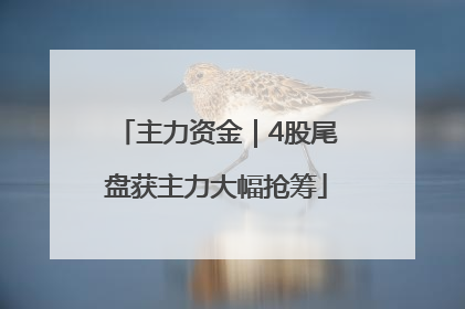 主力资金｜4股尾盘获主力大幅抢筹