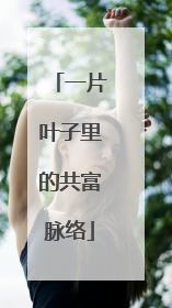 一片叶子里的共富脉络