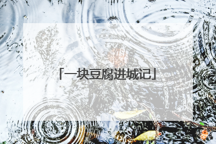 一块豆腐进城记