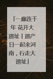 一廊连千年 花开大遗址丨遗产日一起来河南，行走大遗址