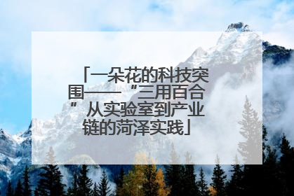 一朵花的科技突围——“三用百合”从实验室到产业链的菏泽实践