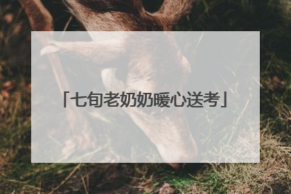 七旬老奶奶暖心送考