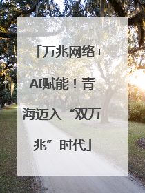 万兆网络+AI赋能！青海迈入“双万兆”时代