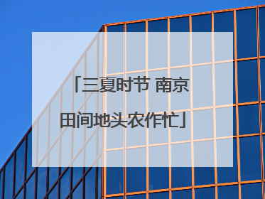 三夏时节 南京田间地头农作忙