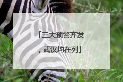 三大预警齐发，武汉均在列