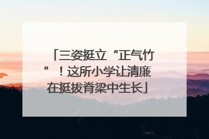三姿挺立“正气竹”！这所小学让清廉在挺拔脊梁中生长