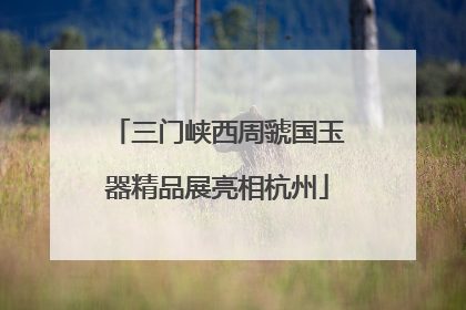 三门峡西周虢国玉器精品展亮相杭州