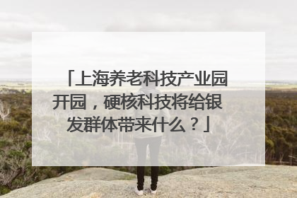 上海养老科技产业园开园，硬核科技将给银发群体带来什么？