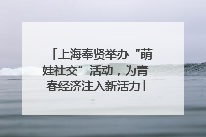 上海奉贤举办“萌娃社交”活动，为青春经济注入新活力