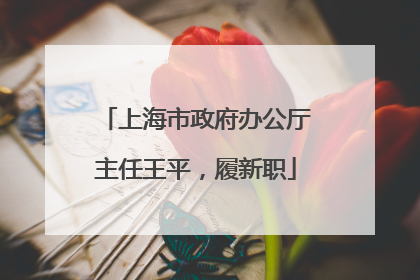 上海市政府办公厅主任王平，履新职