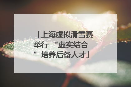上海虚拟滑雪赛举行 “虚实结合”培养后备人才