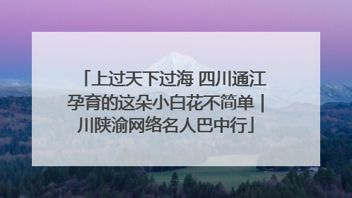 上过天下过海 四川通江孕育的这朵小白花不简单｜川陕渝网络名人巴中行