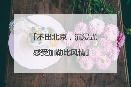 不出北京，沉浸式感受加勒比风情