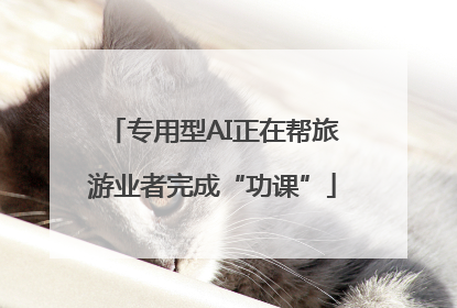 专用型AI正在帮旅游业者完成“功课”