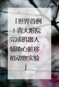 世界首例！青大附院完成机器人辅助心脏移植动物实验