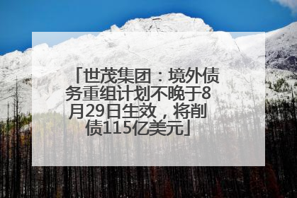 世茂集团：境外债务重组计划不晚于8月29日生效，将削债115亿美元